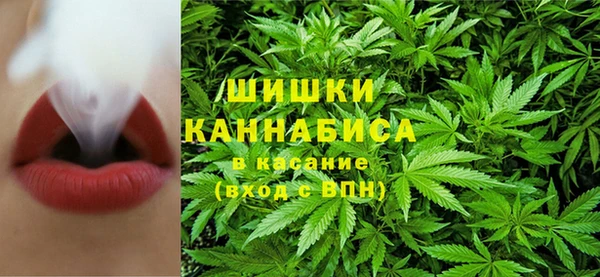 амф Бронницы