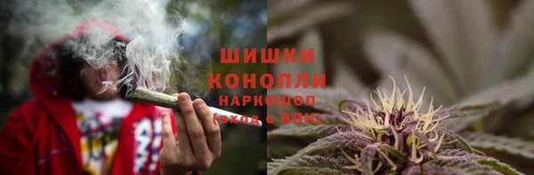СК Горняк