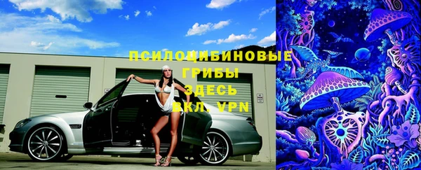 амф Бронницы