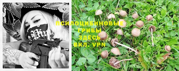 сатива Вязники