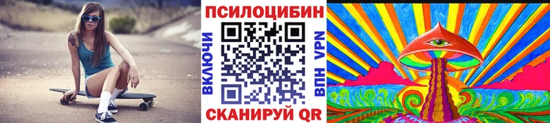 Купить где  Кунгур  Псилоцибиновые грибы GOLDEN TEACHER 