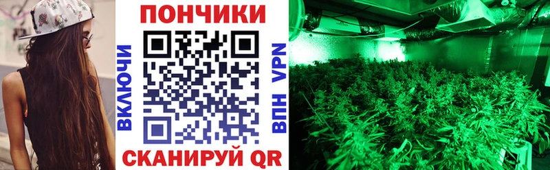 Канабис Amnesia Кунгур